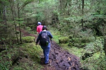 cape_fife_naikoon_provincial_park 008